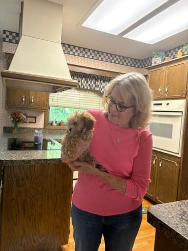 Pawrade customer Denise Z. with their Poodle, Toy puppy