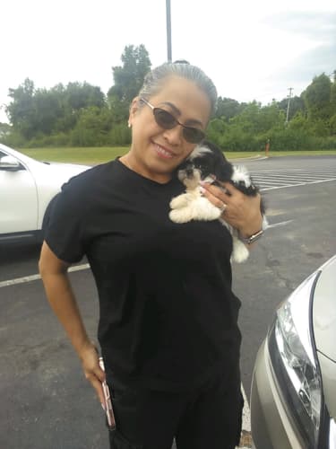 Pawrade customer Marina W. with their Shih Tzu puppy