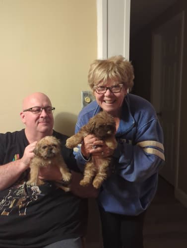 Pawrade customer Joyce H. with their Shih Tzu puppy