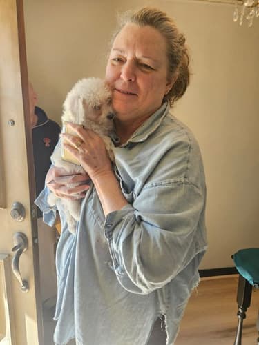 Pawrade customer Laura D. with their Bichon Frise puppy