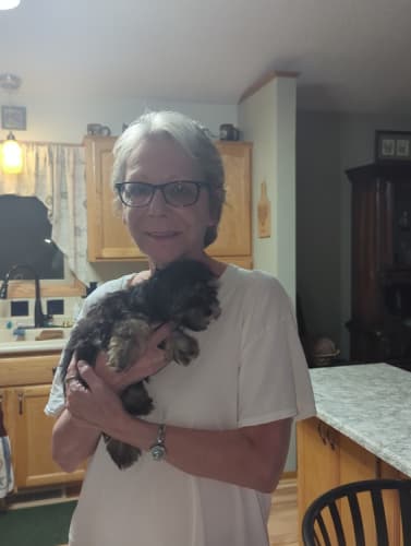 Pawrade Customer Testimonial for Prince