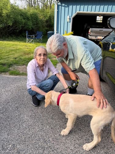 Pawrade customer David S. with their Golden Retriever puppy