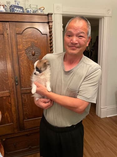 Pawrade Customer Testimonial for Grayson