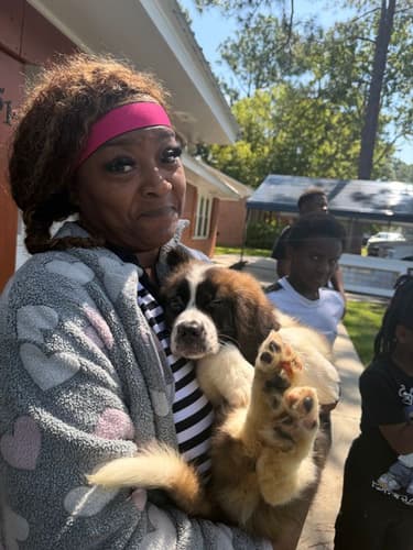 Pawrade customer Latasha J. with their Saint Bernard - St. Bernard puppy