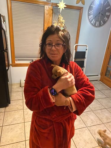 Pawrade Customer Testimonial for Pearl