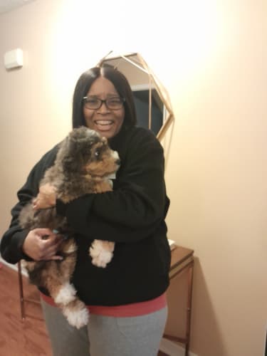 Pawrade Customer Testimonial for Parker