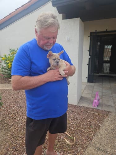Pawrade customer Mark M. with their French Bulldog puppy
