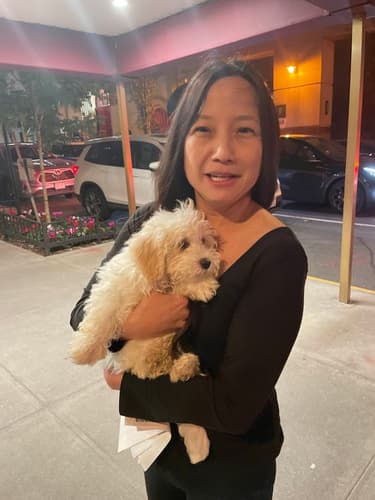 Pawrade Customer Testimonial for Byron