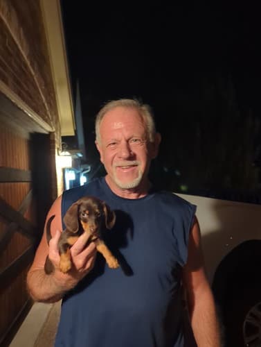 Pawrade customer Deborah D. with their Dachshund puppy
