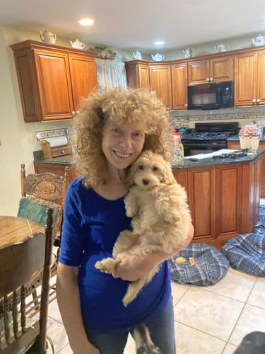 Pawrade customer Joan M. with their Havapoo puppy