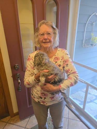 Pawrade Customer Testimonial for Harper