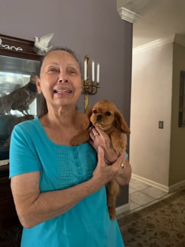 Pawrade Customer Testimonial for Bilie Ray