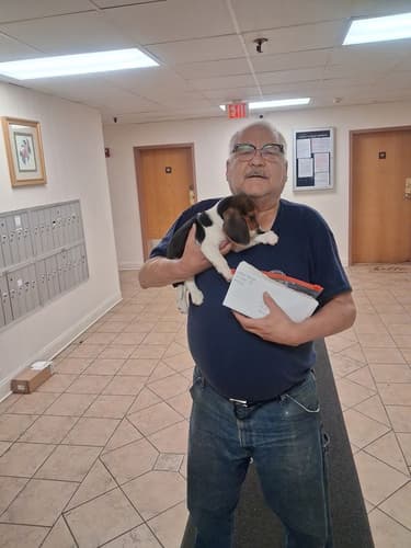 Pawrade customer George S. with their Beagle puppy