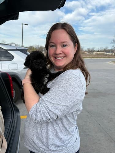 Pawrade customer Katie S. with their Yorkiepoo - Yorkie Poo puppy