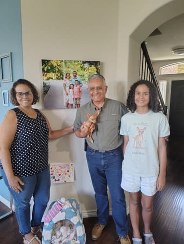 Pawrade customer Hernando M. with their Chihuahua puppy
