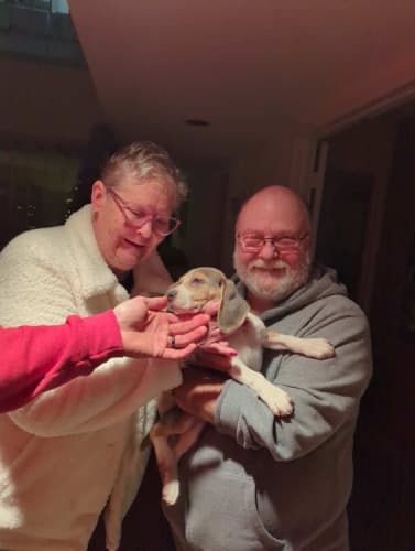 Pawrade Customer Testimonial for Sadie