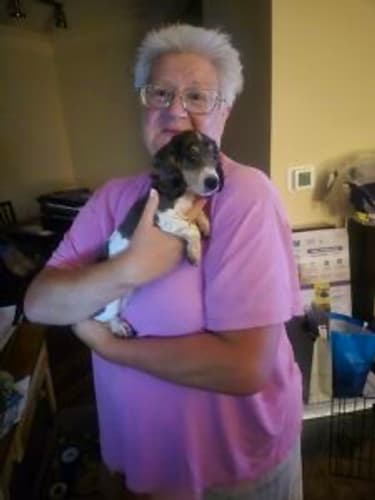 Pawrade Customer Testimonial for Freddy