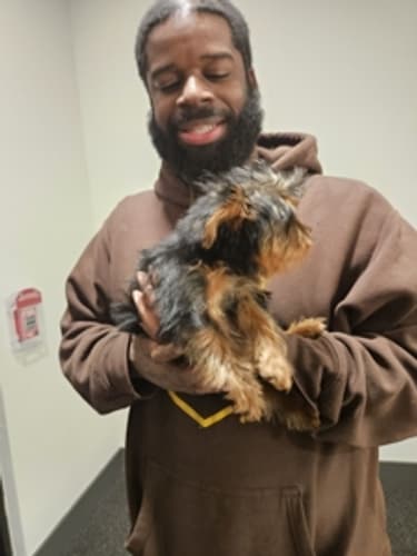 Pawrade Customer Testimonial for Avery