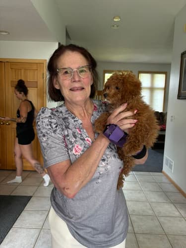 Pawrade customer Susan G. with their Chi-Poo - Chipoo puppy