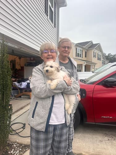 Pawrade Customer Testimonial for Jack