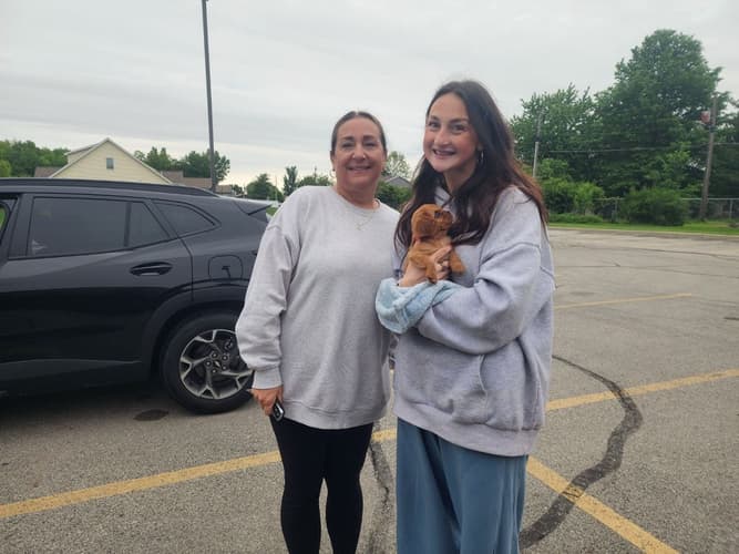 Pawrade customer Tricia L. with their Cavalier King Charles Spaniel puppy