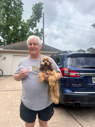 Pawrade Customer Testimonial for Josephine