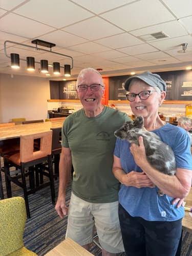 Pawrade customer Dan M. with their French Bulldog puppy
