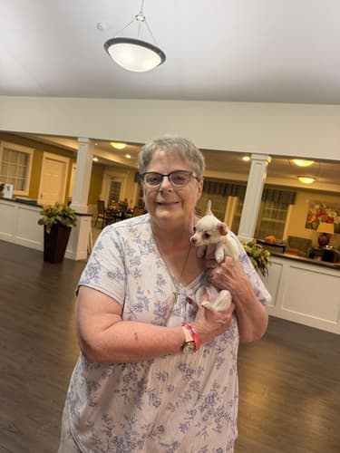 Pawrade customer Theresa T. with their Chihuahua puppy