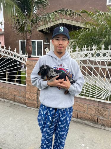 Pawrade Customer Testimonial for Jagger