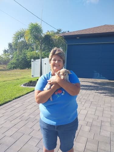 Pawrade customer Rebecca V. with their Beagle puppy