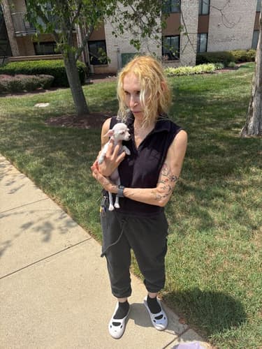 Pawrade customer Dilma N. with their Chihuahua puppy