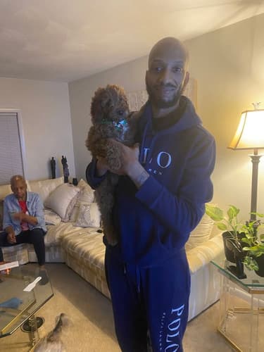 Pawrade Customer Testimonial for Cullen