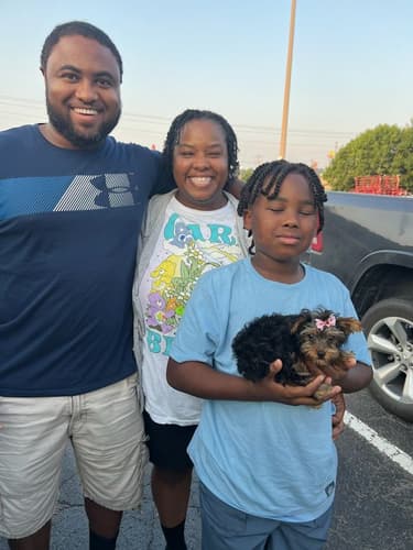 Pawrade Customer Testimonial for Anna