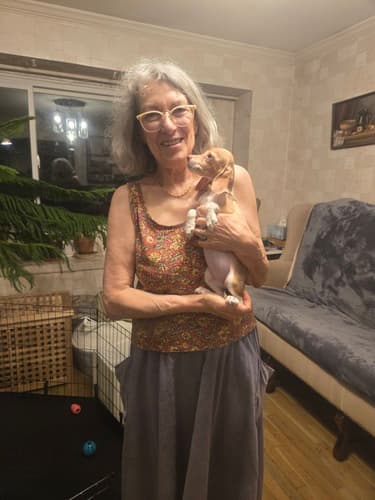 Pawrade Customer Testimonial for Felicity