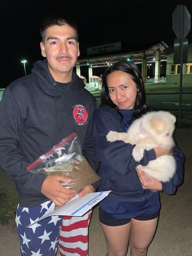 Pawrade Customer Testimonial for Babe