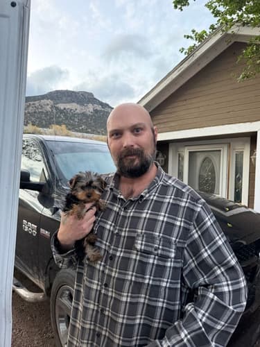 Pawrade Customer Testimonial for Seamus