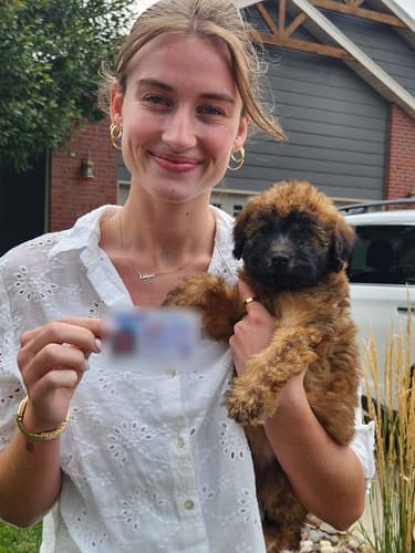 Pawrade customer Lainey V. with their Soft Coated Wheaten Terrier puppy