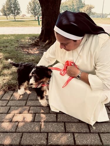 Pawrade Customer Testimonial for Penny