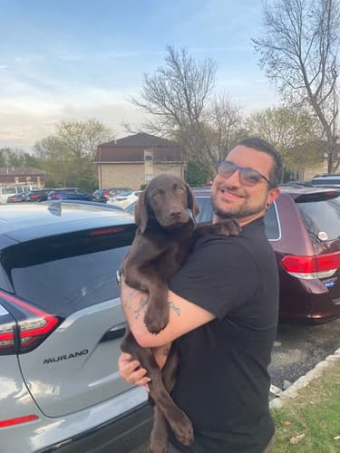 Pawrade Customer Testimonial for Tator