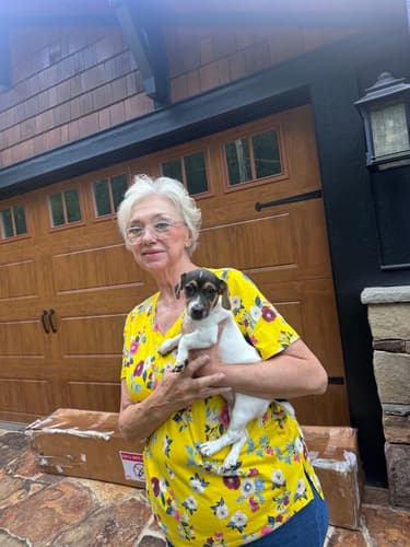 Pawrade customer Debra M. with their Jack Russell Terrier puppy