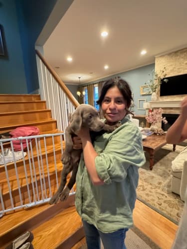 Pawrade Customer Testimonial for Raye