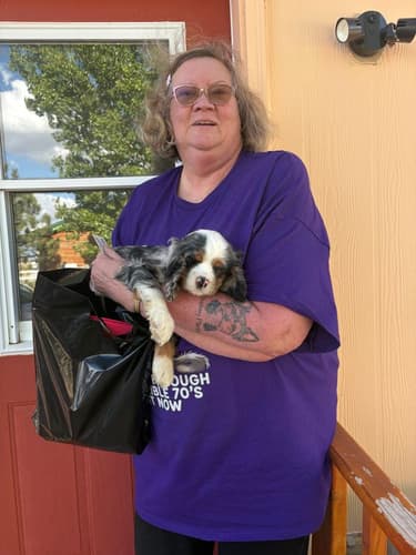 Pawrade customer Debbie C. with their Cocker Spaniel puppy