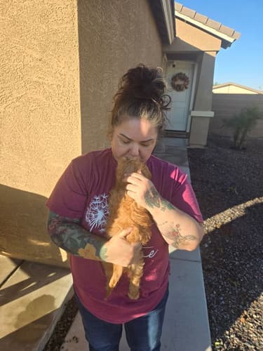 Pawrade Customer Testimonial for Flora