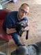 Customer Review of Cane Corso Mastiff Puppy