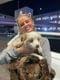 Customer Review of Miniature Australian Shepherd Puppy