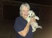 Customer Review of Coton De Tulear Puppy