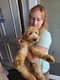 Customer Review of Goldendoodle Puppy