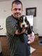 Customer Review of Basset Hound Puppy