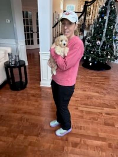 Deeks, a Malti Poo - Maltipoo puppy from Pawrade