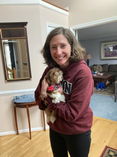 Bodacious, a Shih Tzu puppy from Pawrade